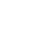 专业演出